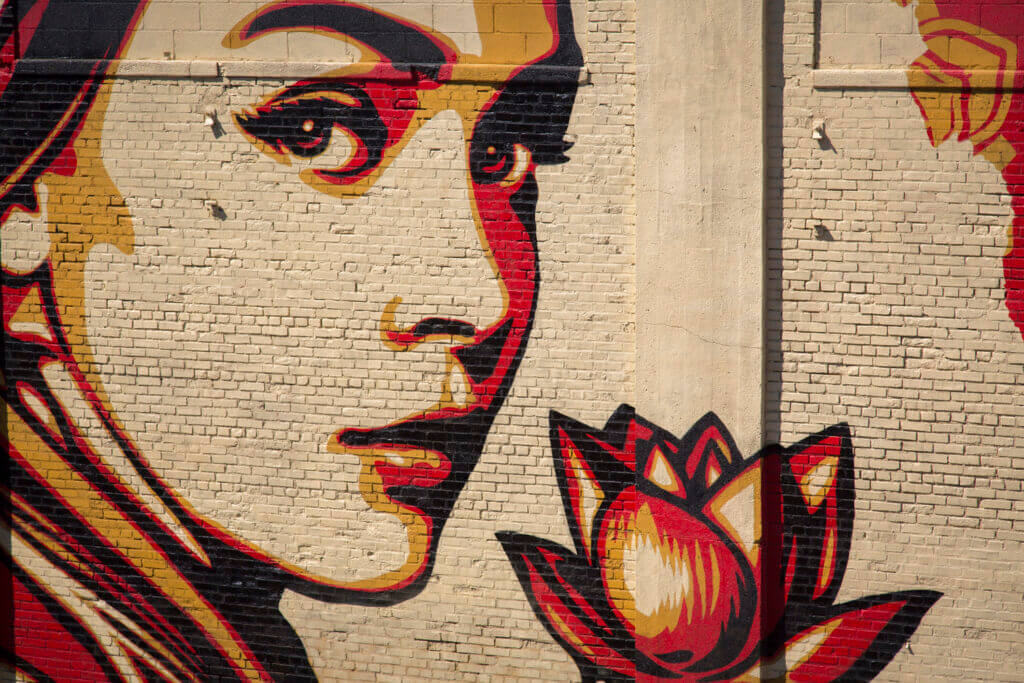 Shepard Fairey: Natural Spring